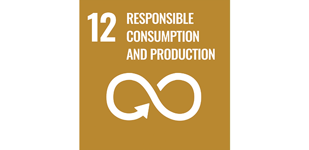 SDGs12 Responsible Consumption and Production