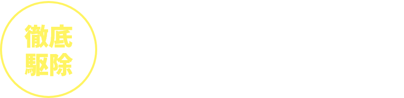 徹底駆除「ゼロノナイトG」くん煙剤 第2類医薬品