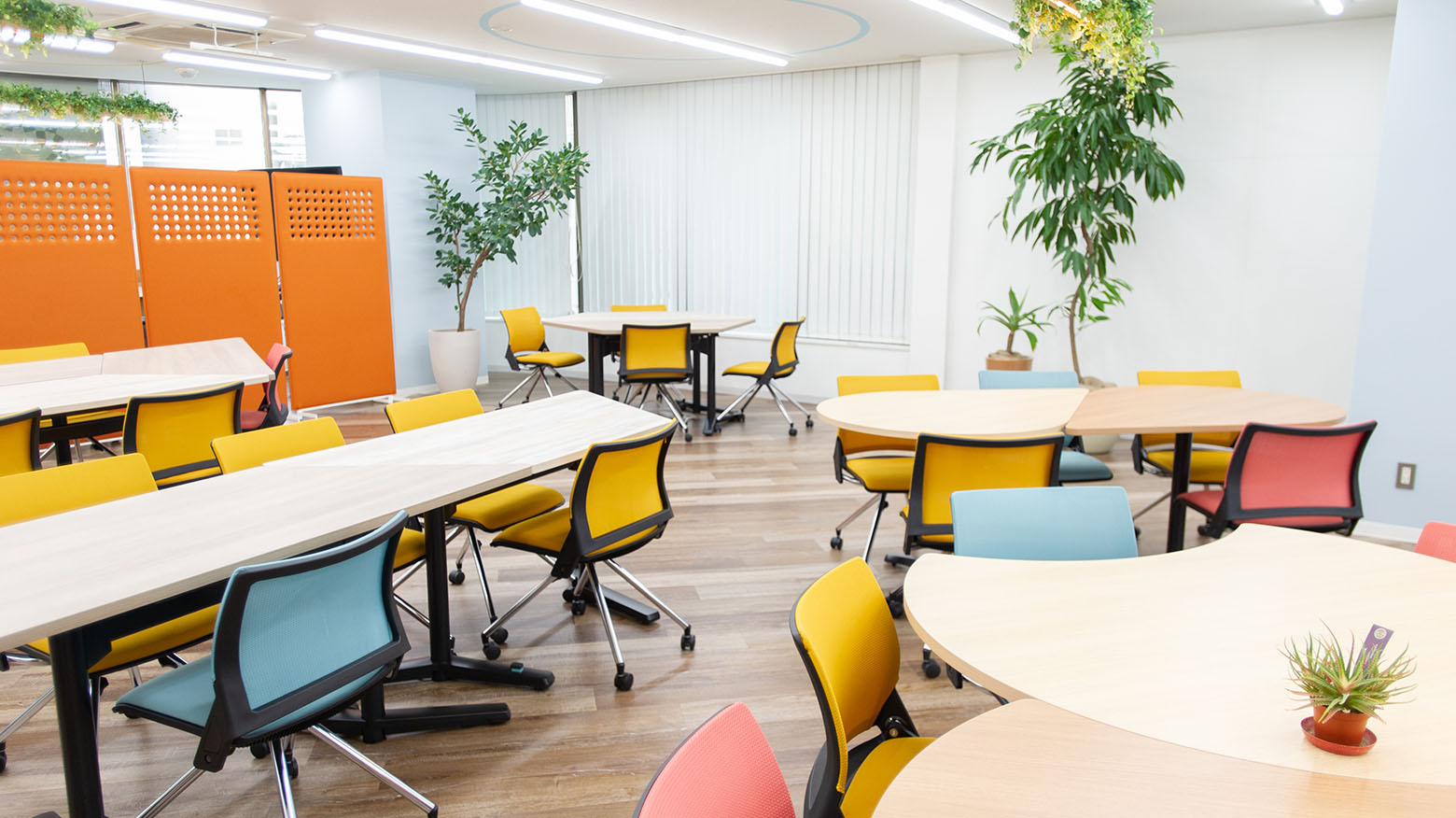 The open space