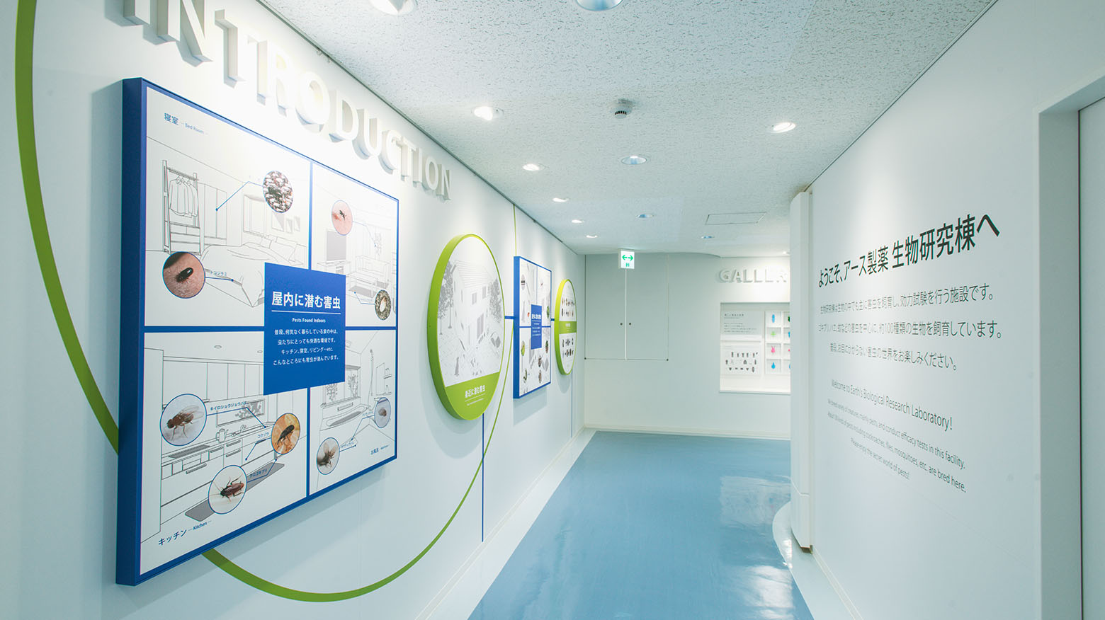 The display