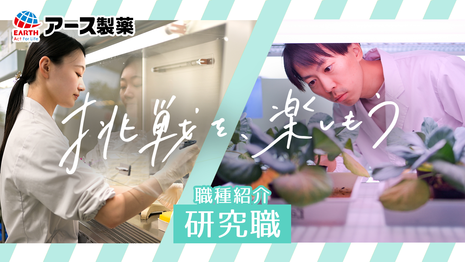 時代に合わせた採用活動（職種紹介動画）