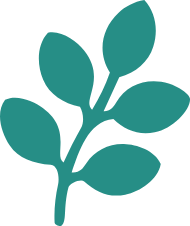 植物のイラスト