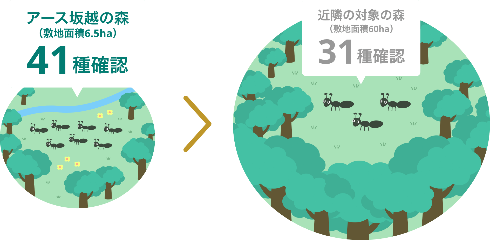 アリを使用した敷地面積比較のイラスト