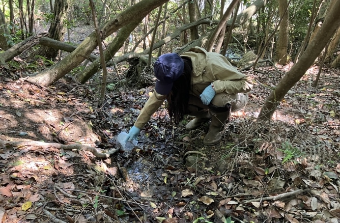 水質調査の様子