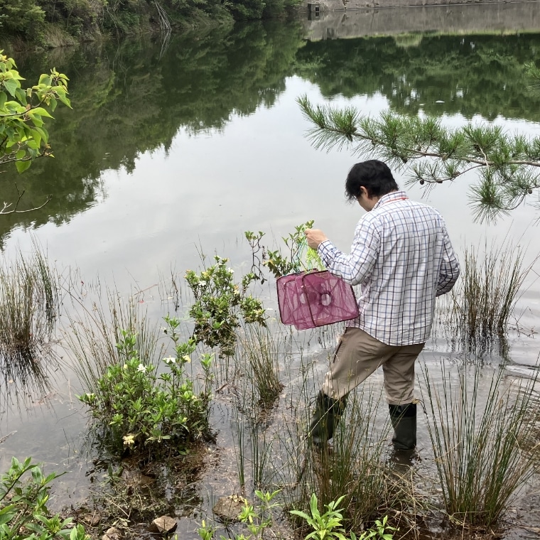 水生生物調査の様子