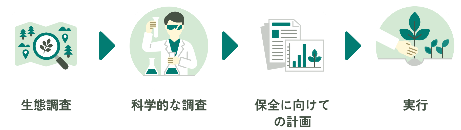 保全・管理活動フロー図