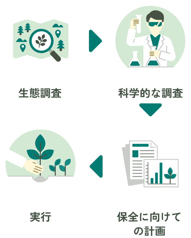 保全・管理活動フロー図