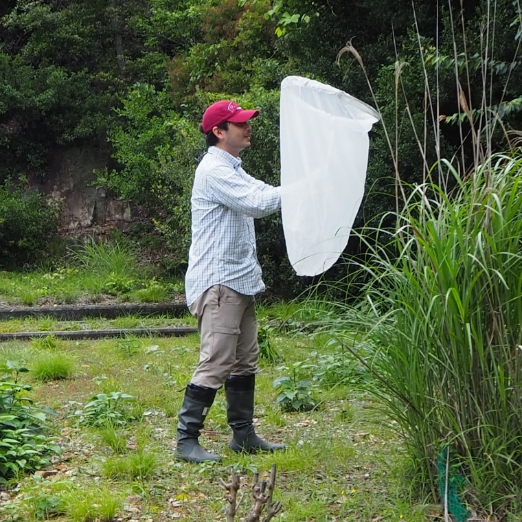 昆虫調査の様子