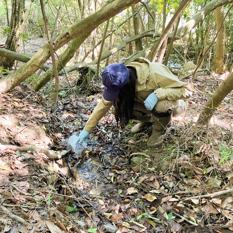 水質調査の様子