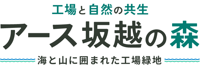 工場と自然の共生 アース坂越の森 海と山に囲まれた工場緑地