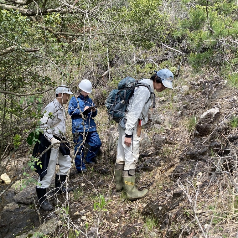 植生調査の様子